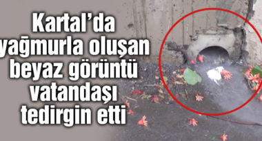 vatan1